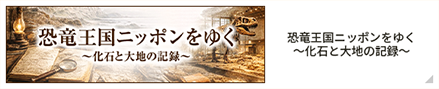 恐竜王国ニッポンをゆく～化石と大地の記録～